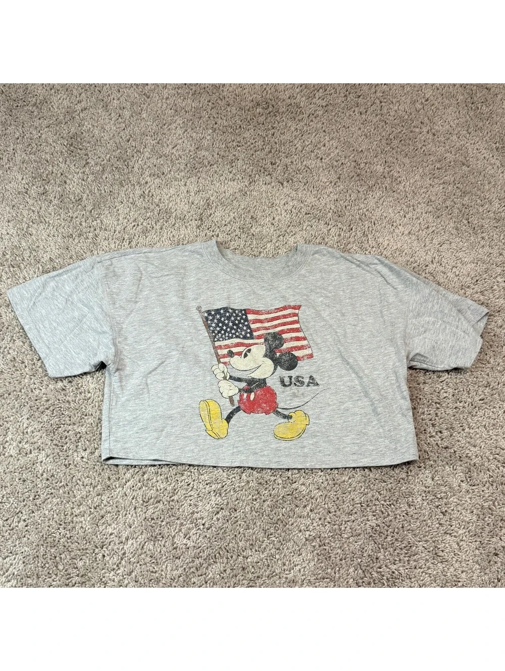 Disney Mickey and Friends USA Flag Graphic Crop T-Shirt Sz S